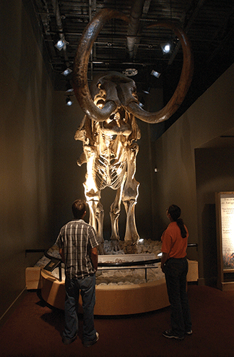 20040424 MOSTH Exhibit 0003 web