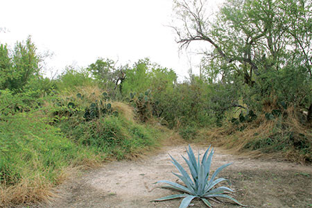 MO McAllen Nature Center 4734