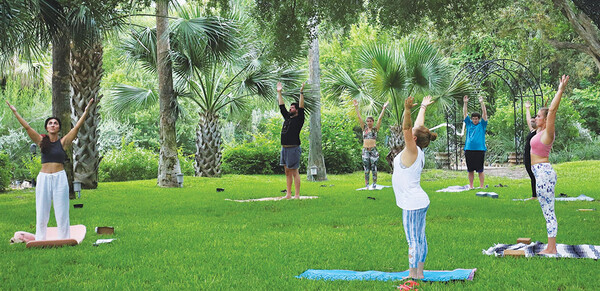 Yoga Play in the Park