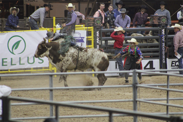 20220316 NPBR RGV Livestock Show CAB 0244 web