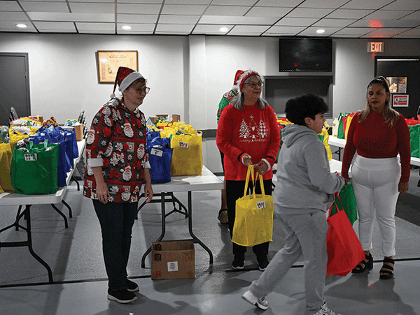 Elks bags of toys web