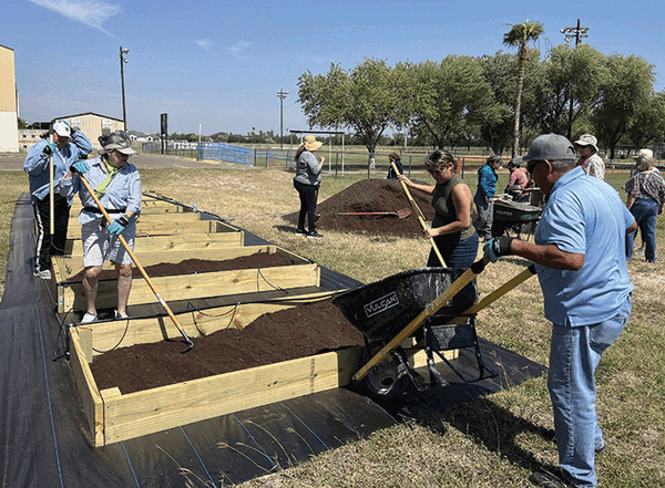 20251029 Palmview Community Garden web