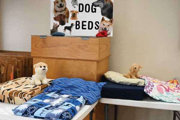 Dog Beds web