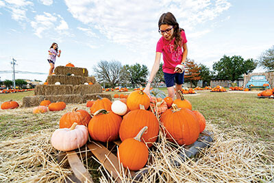 20211020 TAMU Pumpkins 2 web