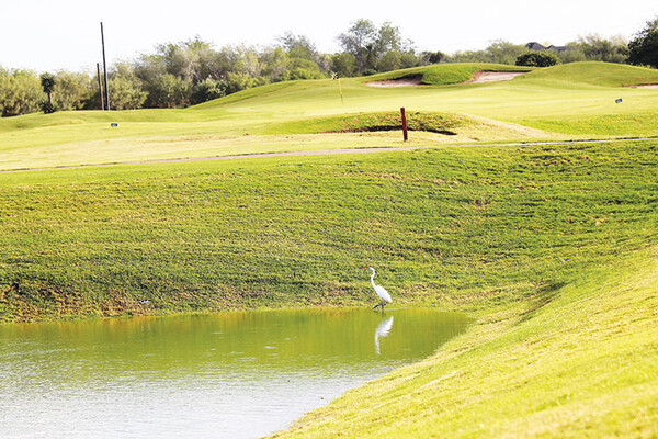 20220302 GOLF Tierra Santa Golf Course HMiller 8616