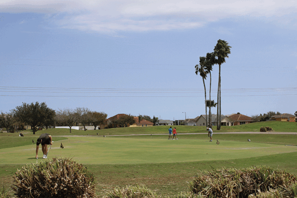 20220319 Tierra Santa Golf Course ALB 0009 wb