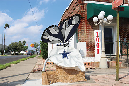 butterfly dallas cowboy